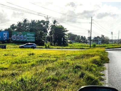 Trincity, BB#1 Churchill Roosevelt Highway, Eastbound, (same side) 40ft W x 16ft H