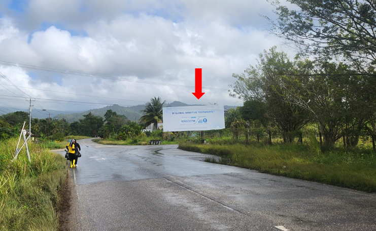 Barbuda Extension -for traffic en route to Valencia, Sangre Grande, Toco and environs 40ft W x 16ft H